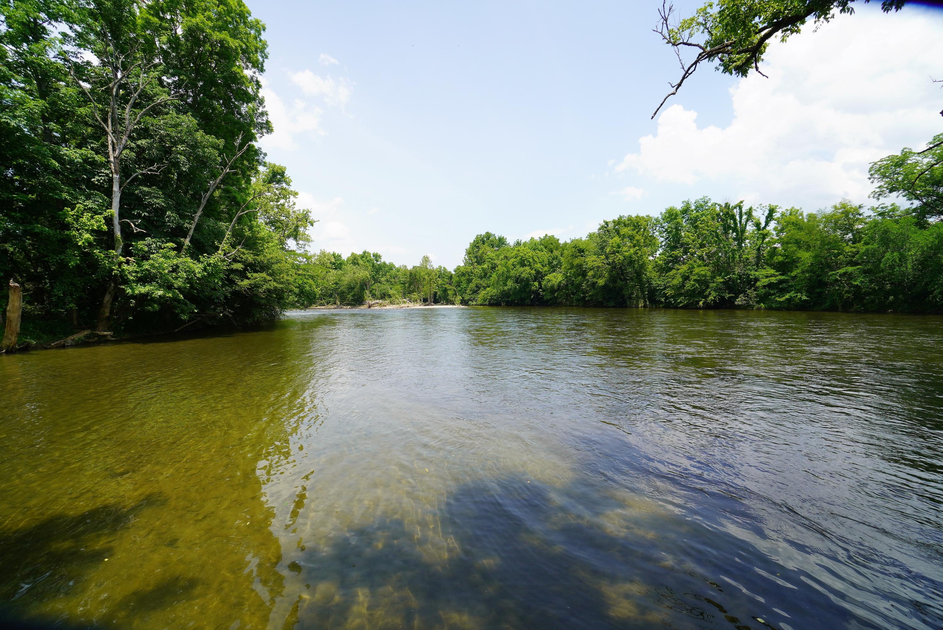 10.03 Wilton Springs Road Newport, TN 37821 - Photo 1 of 13 Pigeon River