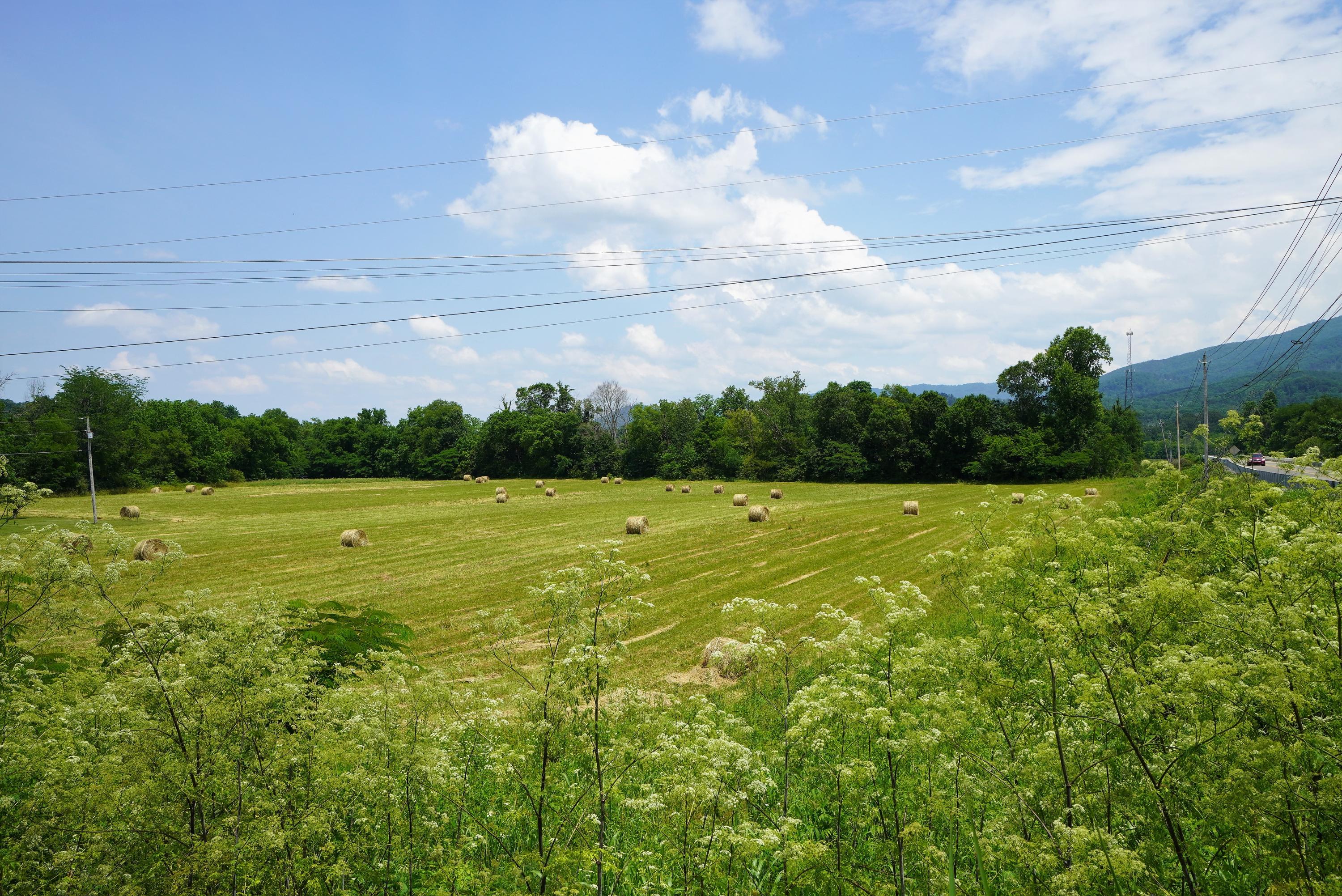 10.03 Wilton Springs Road Newport, TN 37821 - Photo 2 of 13 Level Acreage