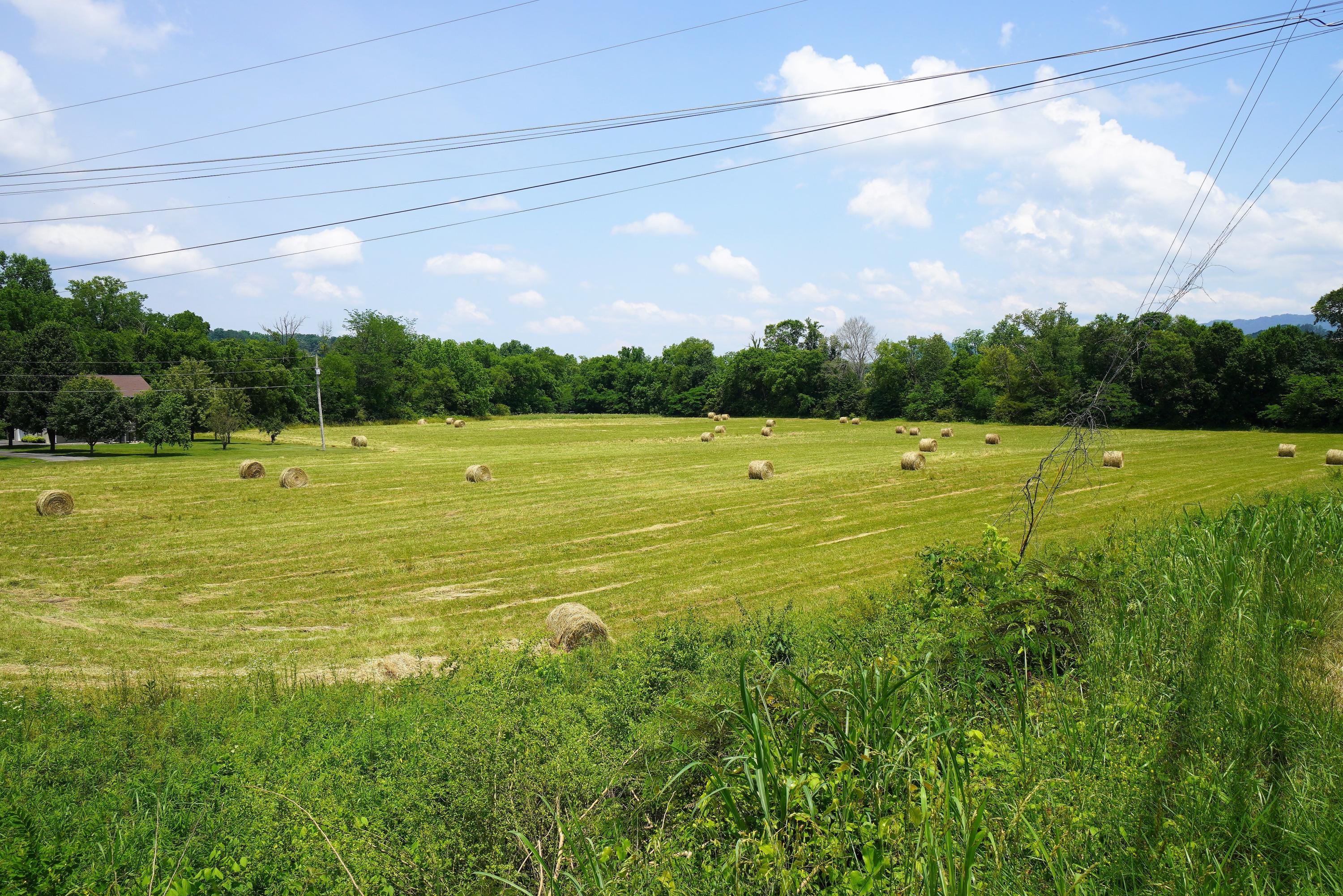 10.03 Wilton Springs Road Newport, TN 37821 - Photo 11 of 13 Property from Road