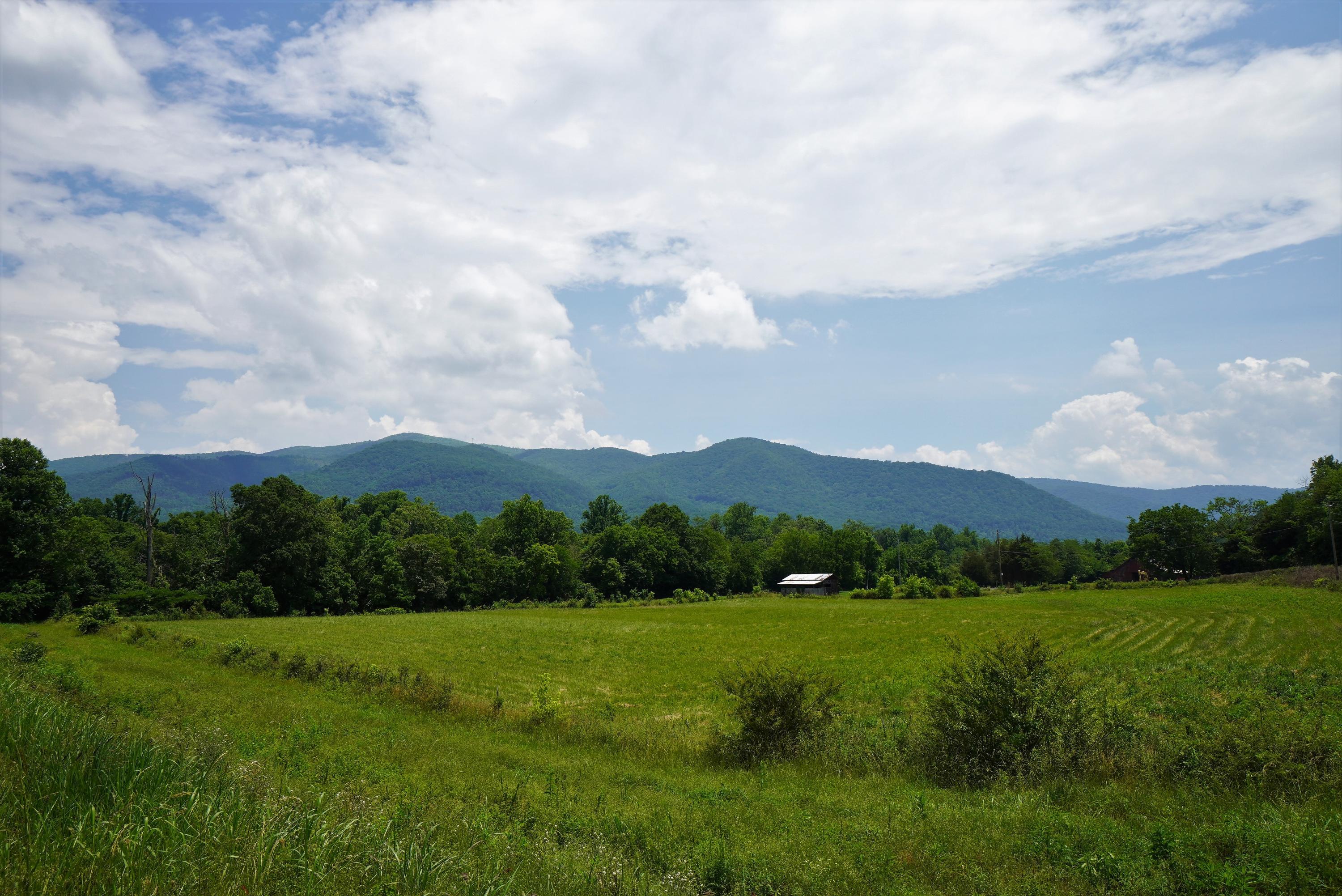 10.03 Wilton Springs Road Newport, TN 37821 - Photo 12 of 13 12