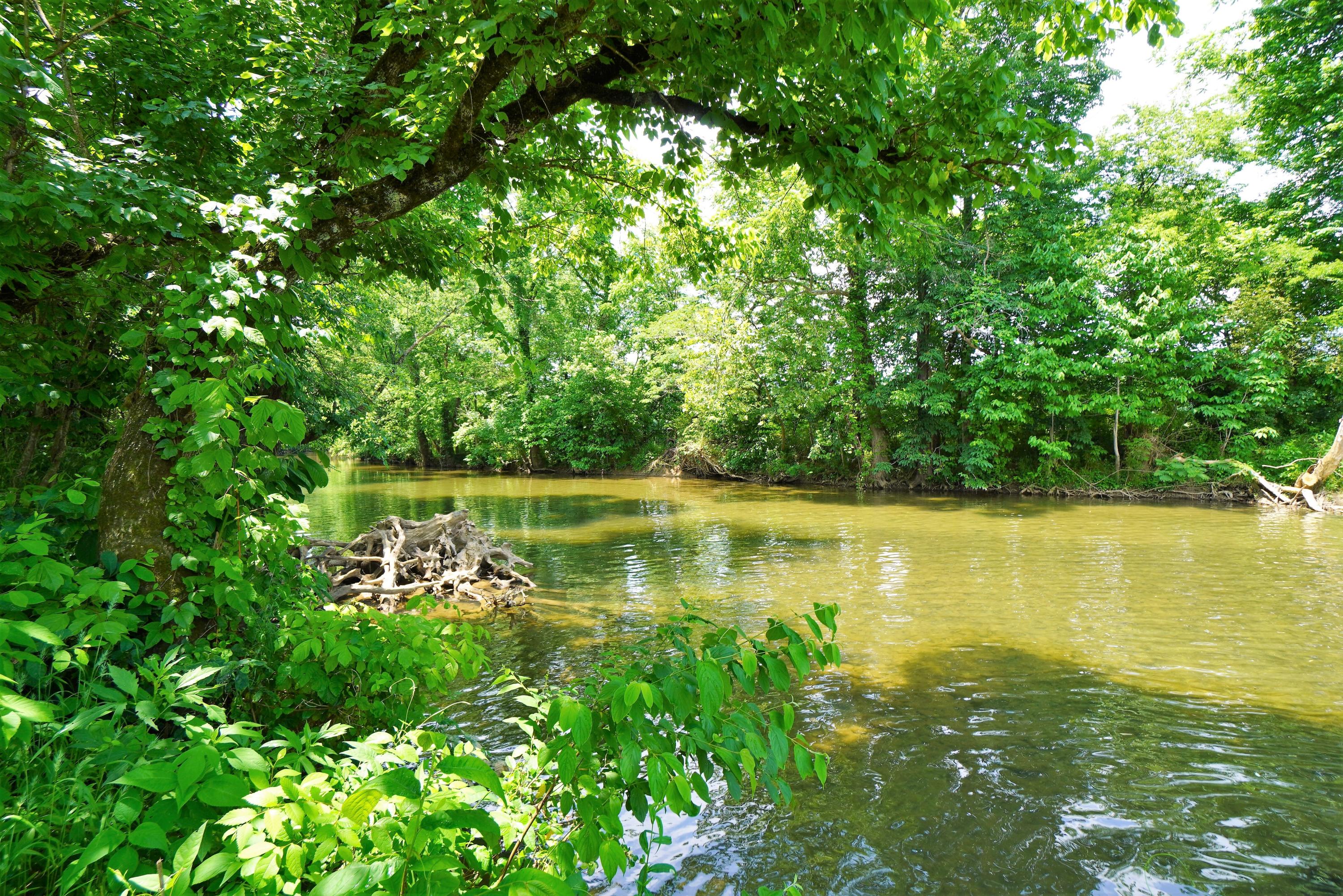 10.03 Wilton Springs Road Newport, TN 37821 - Photo 3 of 13 Cosby Creek