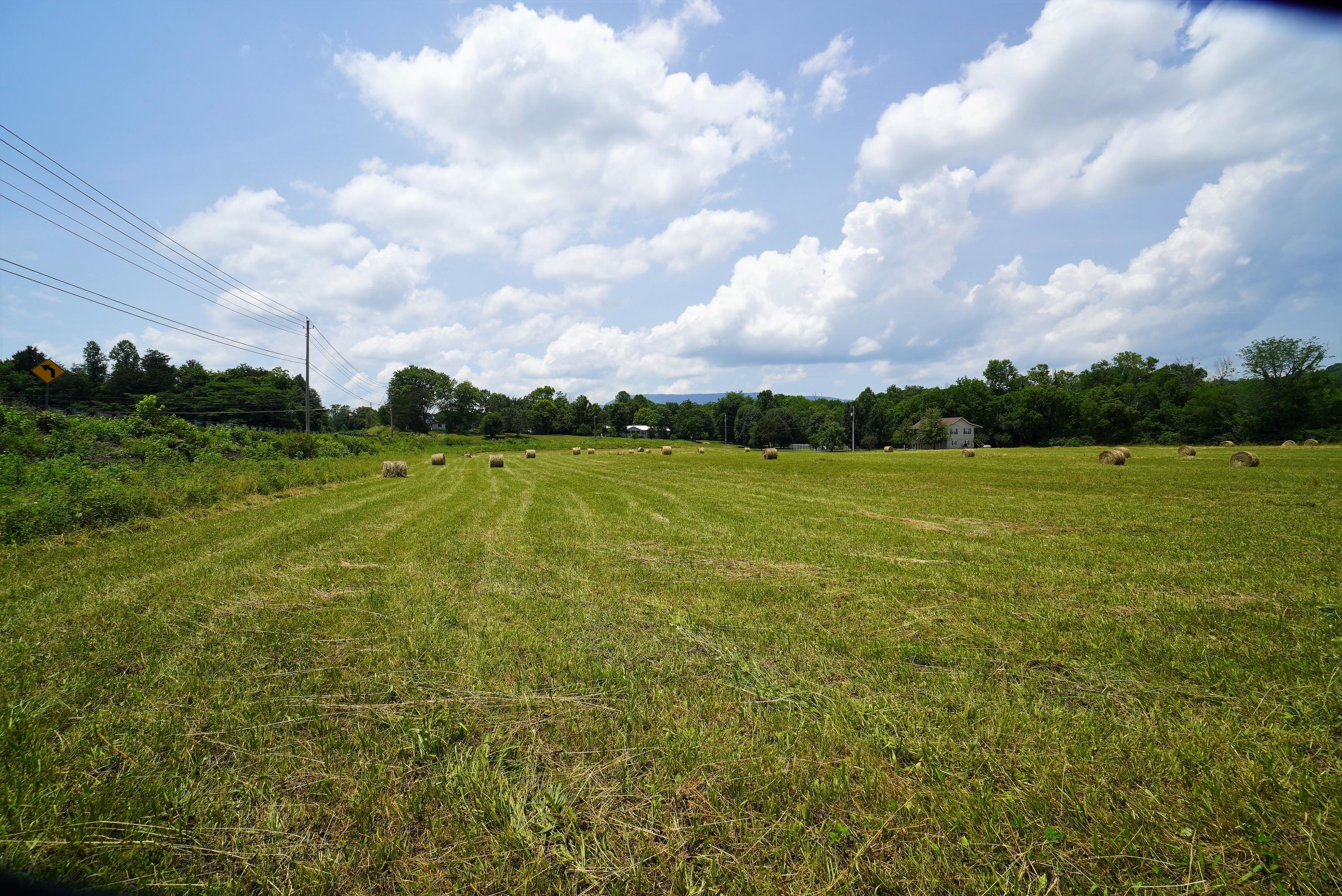 10.03 Wilton Springs Road Newport, TN 37821 - Photo 4 of 13 Private Country Setting