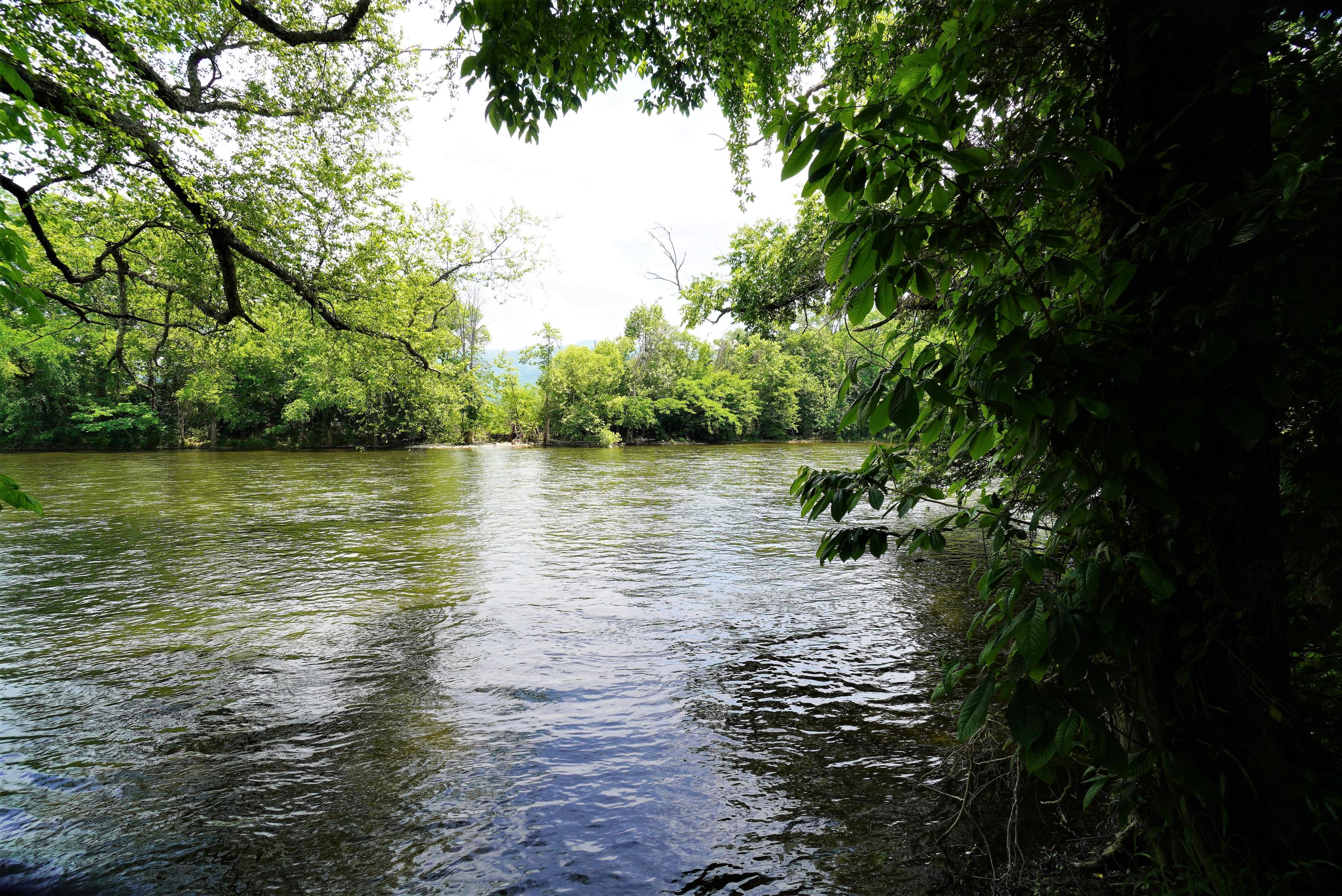 10.03 Wilton Springs Road Newport, TN 37821 - Photo 5 of 13 Pigeon River