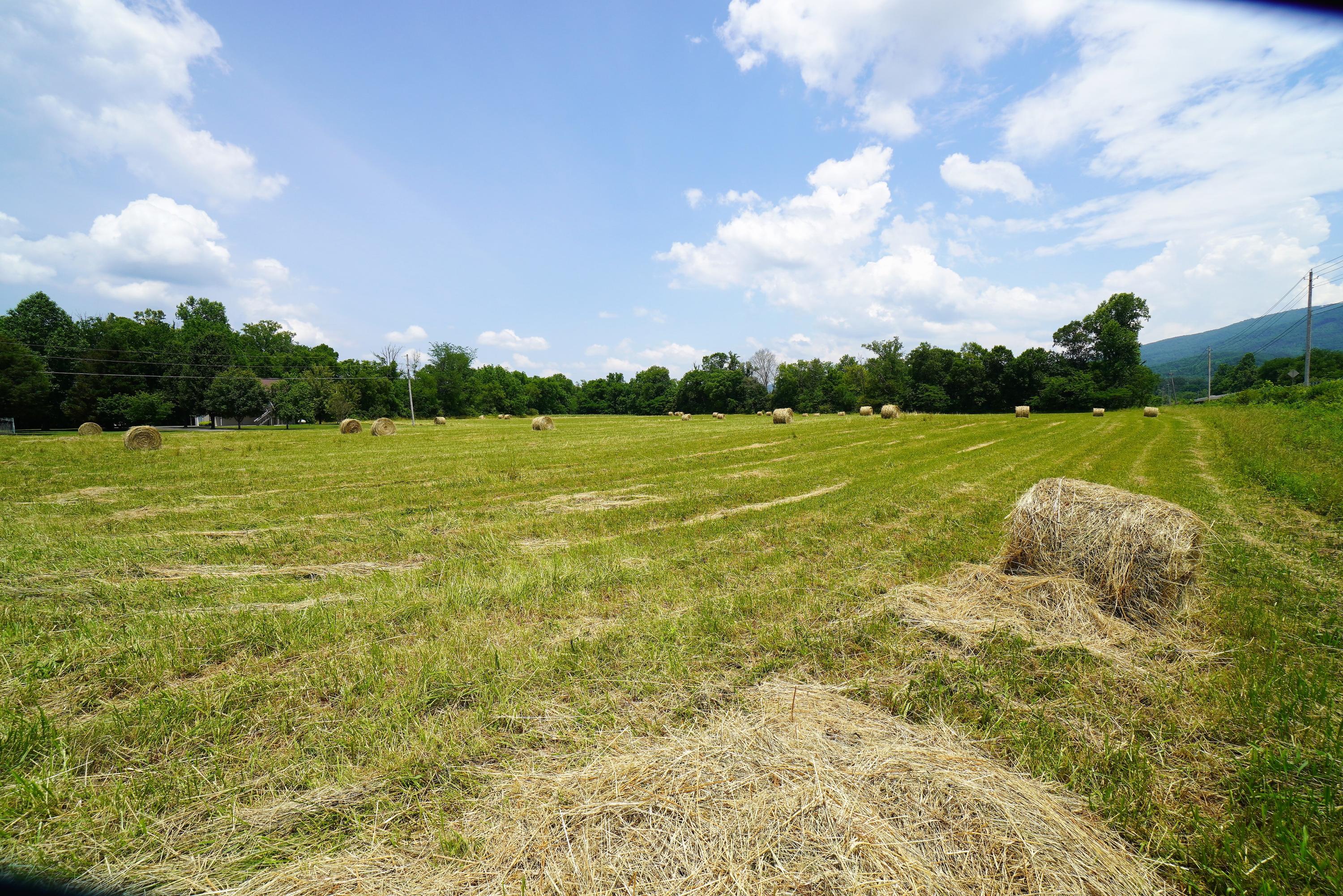 10.03 Wilton Springs Road Newport, TN 37821 - Photo 6 of 13 Mountain Views