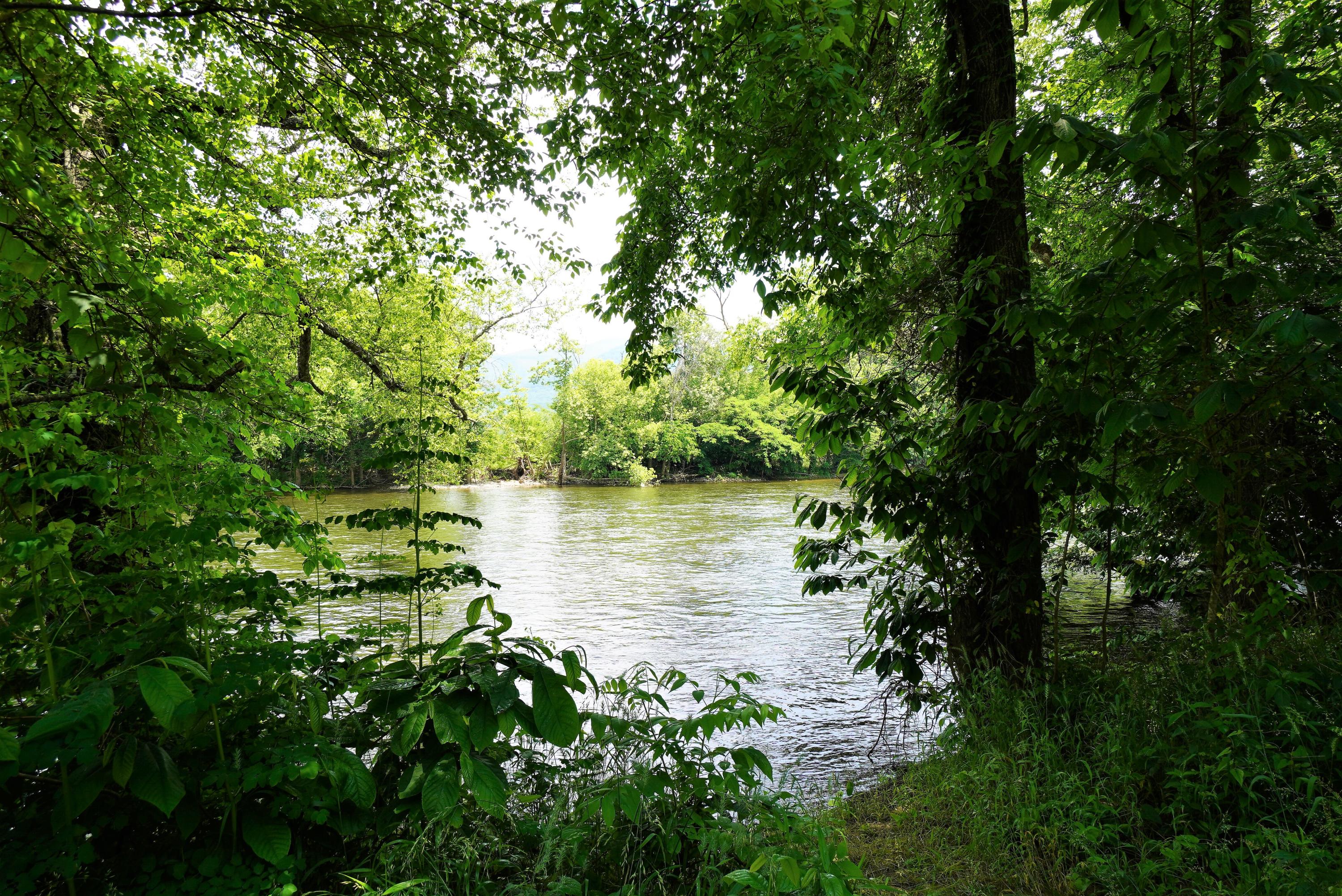 10.03 Wilton Springs Road Newport, TN 37821 - Photo 7 of 13 Cosby Creek