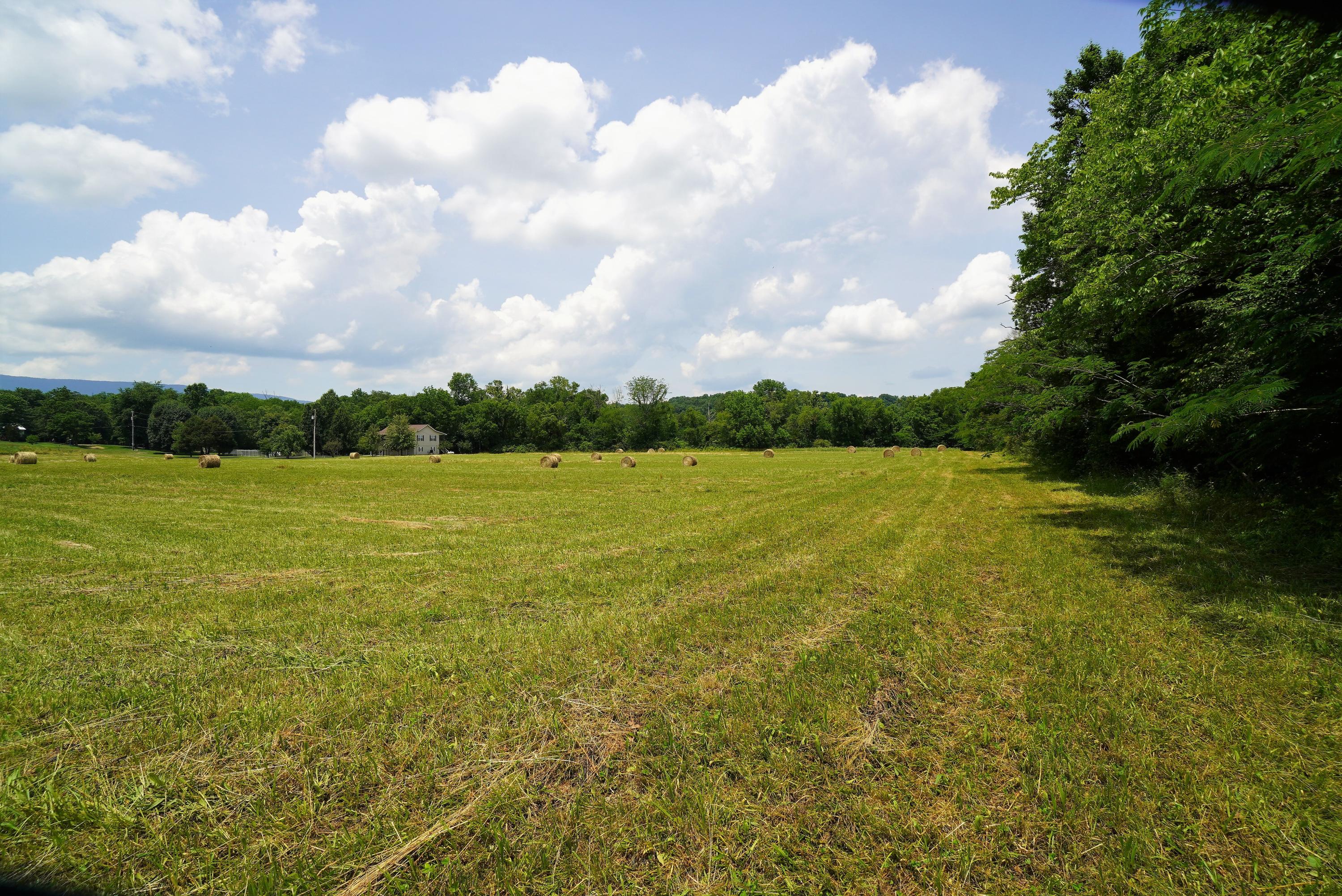 10.03 Wilton Springs Road Newport, TN 37821 - Photo 8 of 13 Tree Lined River Front