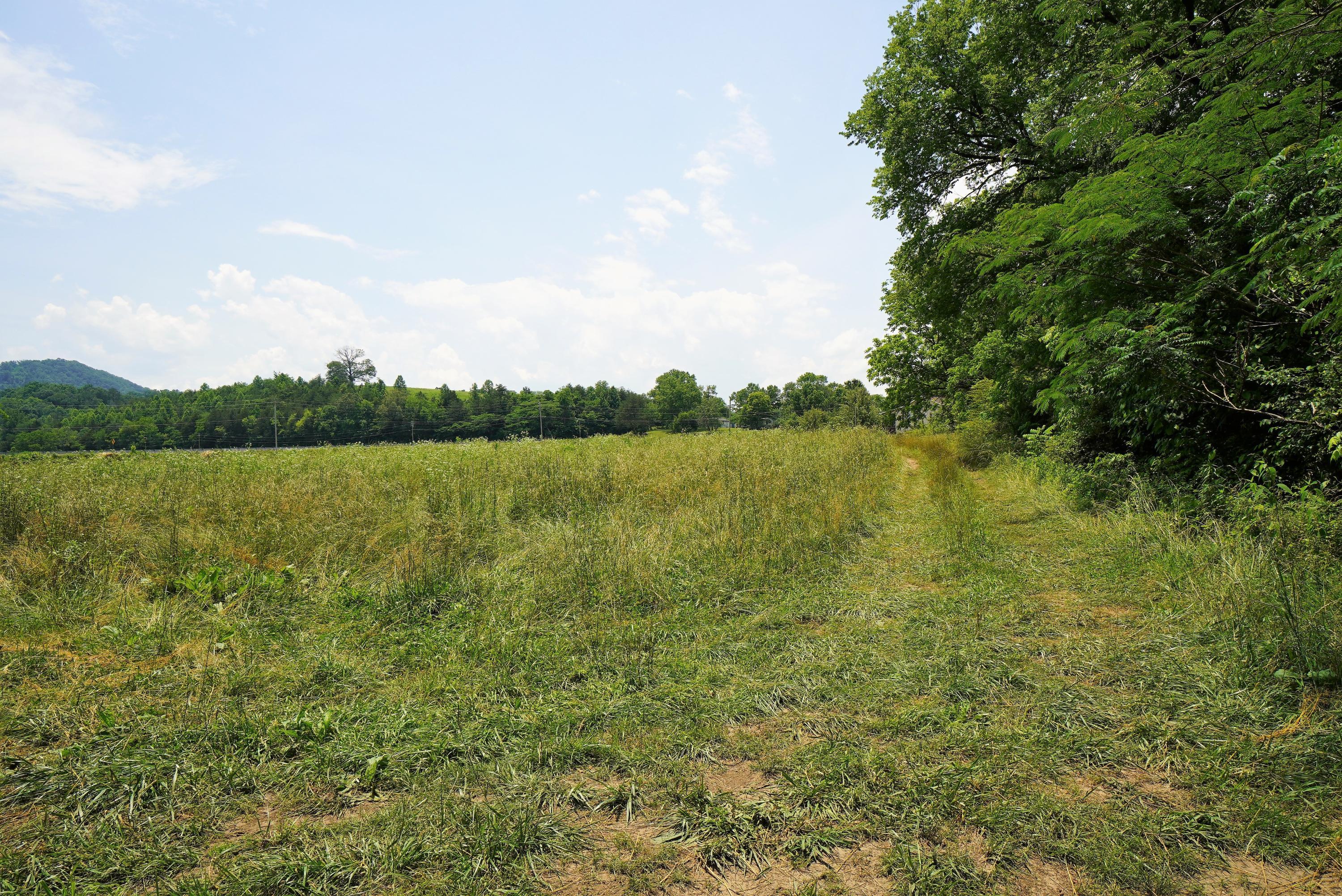 10.03 Wilton Springs Road Newport, TN 37821 - Photo 10 of 13 Unrestricted