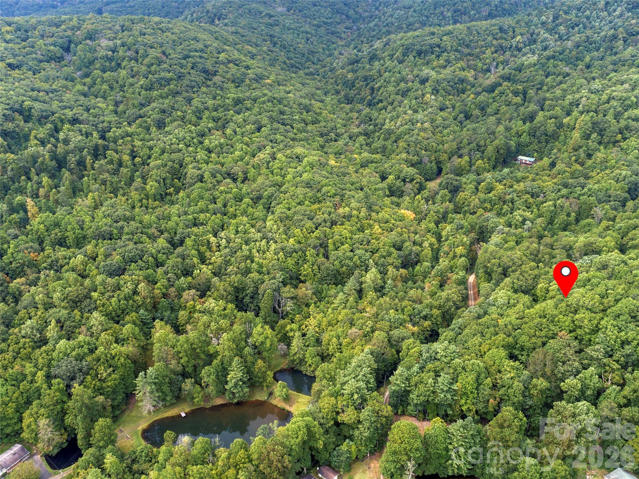 0 Pond Road Spruce Pine, NC 28777 - Photo 4 of 9 Gallery Image 4