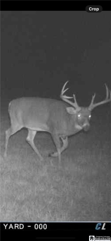 4273 Waterman Road Stockton, NY 14784 - Photo 30 of 37