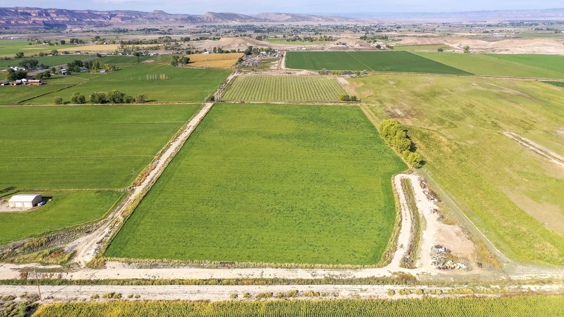1654 M Road Fruita, CO 81521 - Photo 4 of 9 a view of a city