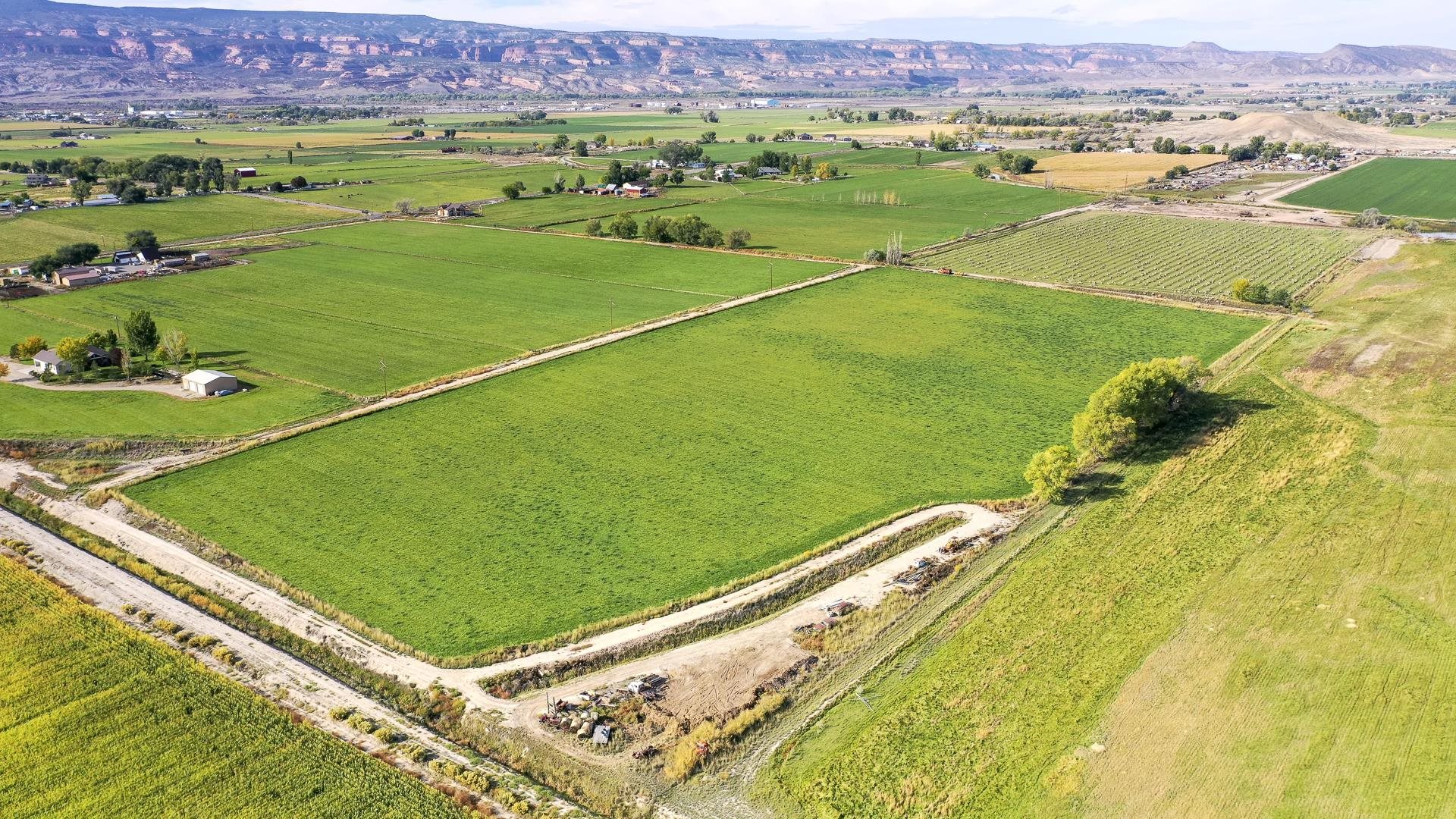 1654 M Road Fruita, CO 81521 - Photo 5 of 9 a view of a field with a big yard