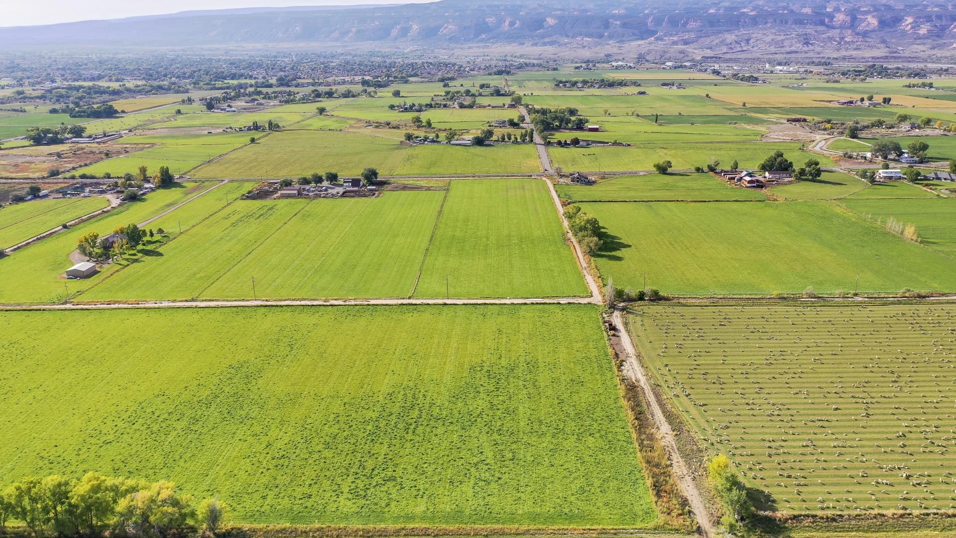 1654 M Road Fruita, CO 81521 - Photo 6 of 9 a view of an outdoor space and a lake view