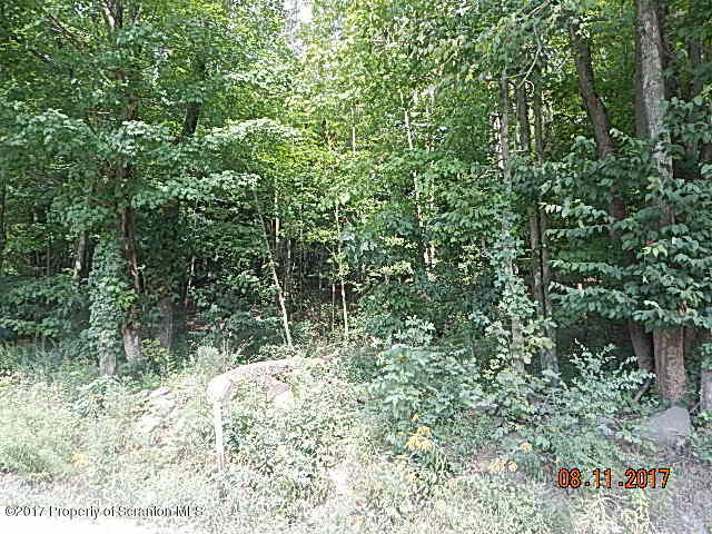 West Avery Station Road Tunkhannock, PA 18657 - Photo 3 of 11 DSCN4247