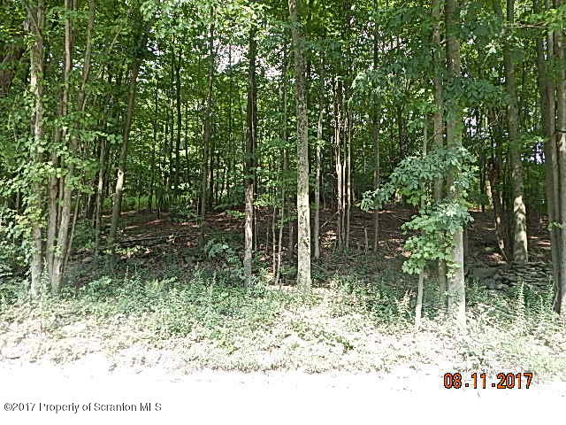 West Avery Station Road Tunkhannock, PA 18657 - Photo 4 of 11 DSCN4248