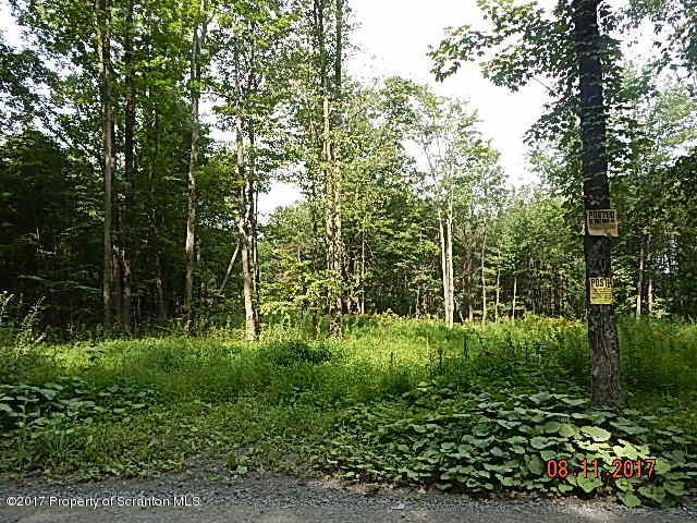 West Avery Station Road Tunkhannock, PA 18657 - Photo 5 of 11 DSCN4249