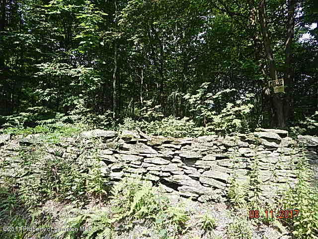West Avery Station Road Tunkhannock, PA 18657 - Photo 8 of 11 DSCN4252