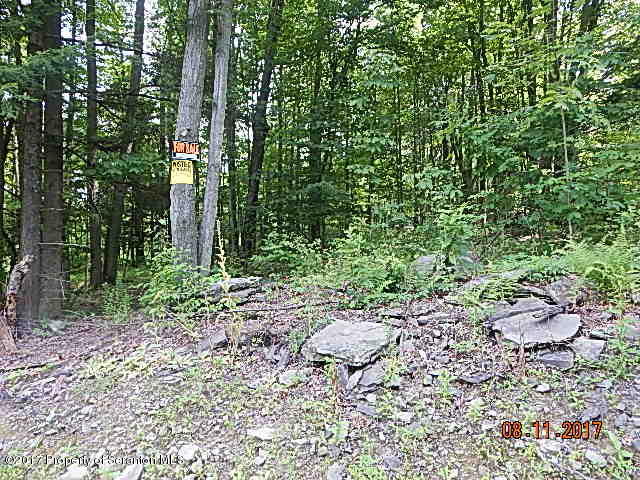 West Avery Station Road Tunkhannock, PA 18657 - Photo 10 of 11 DSCN4254