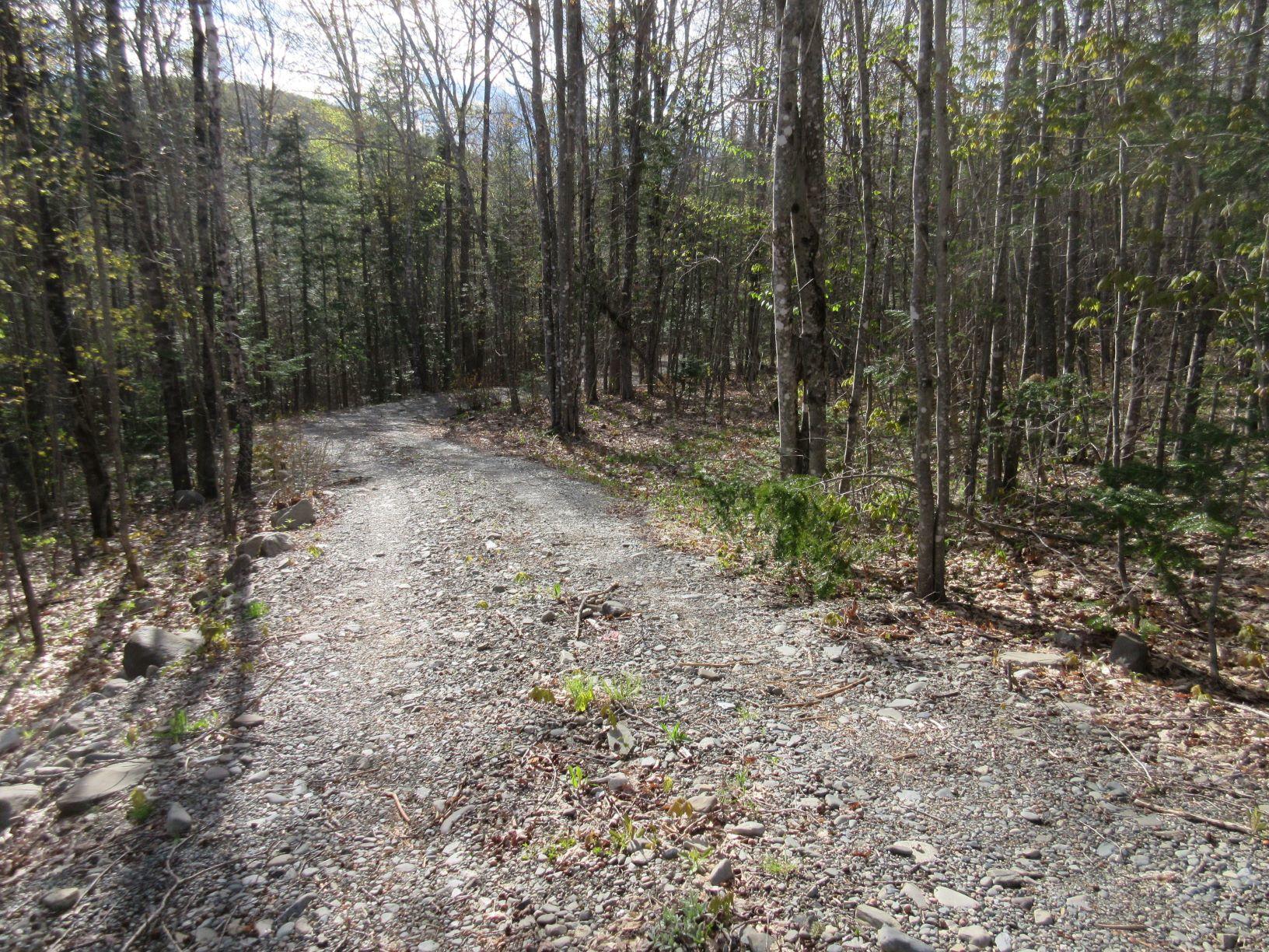 31.31 North Blanchard Shirley Road Abbot, ME 04406 - Photo 1 of 15 1