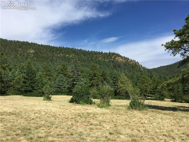 Redstone Ridge Road Monument, CO 80132 - Photo 9 of 20