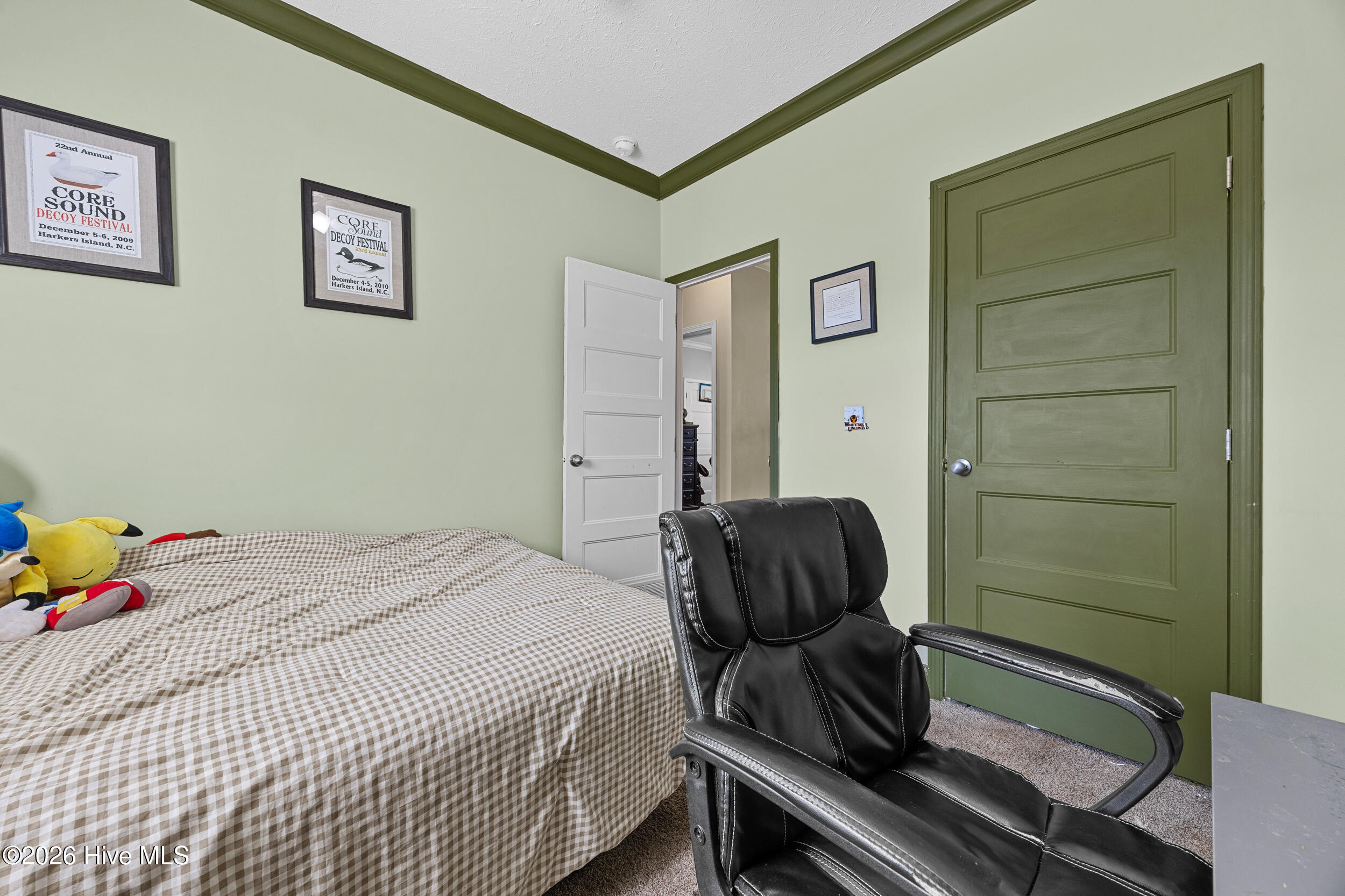 3740 Tuckahoe Road Ivanhoe, NC 28447 - Photo 18 of 62 15_bedroom