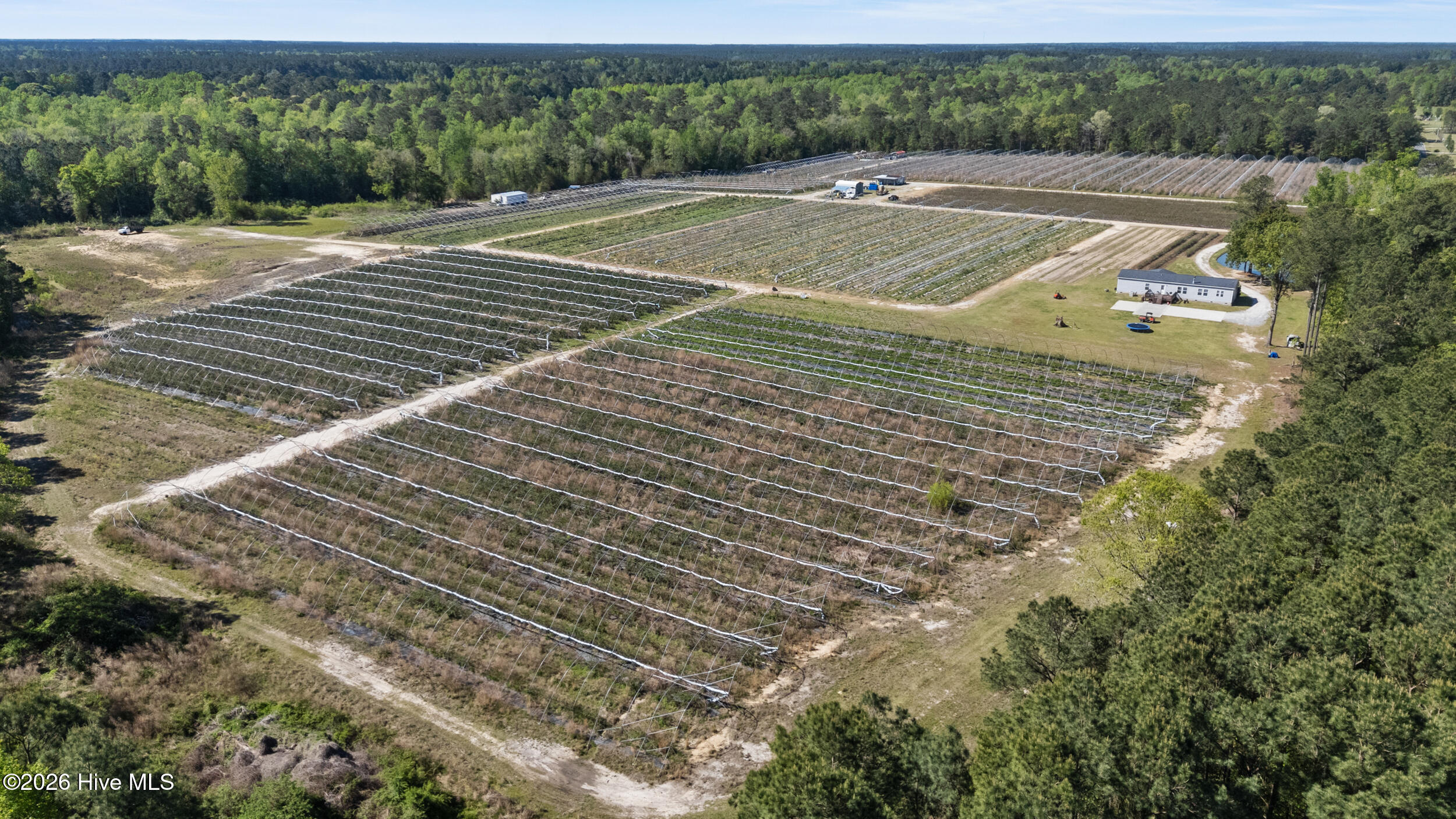 3740 Tuckahoe Road Ivanhoe, NC 28447 - Photo 2 of 62 50_drone