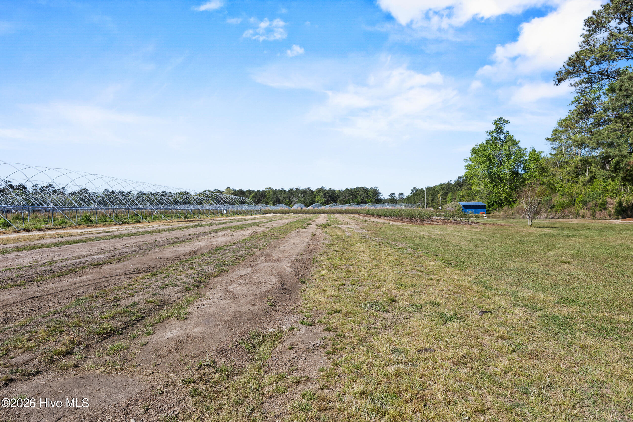 3740 Tuckahoe Road Ivanhoe, NC 28447 - Photo 45 of 62 42_backyard