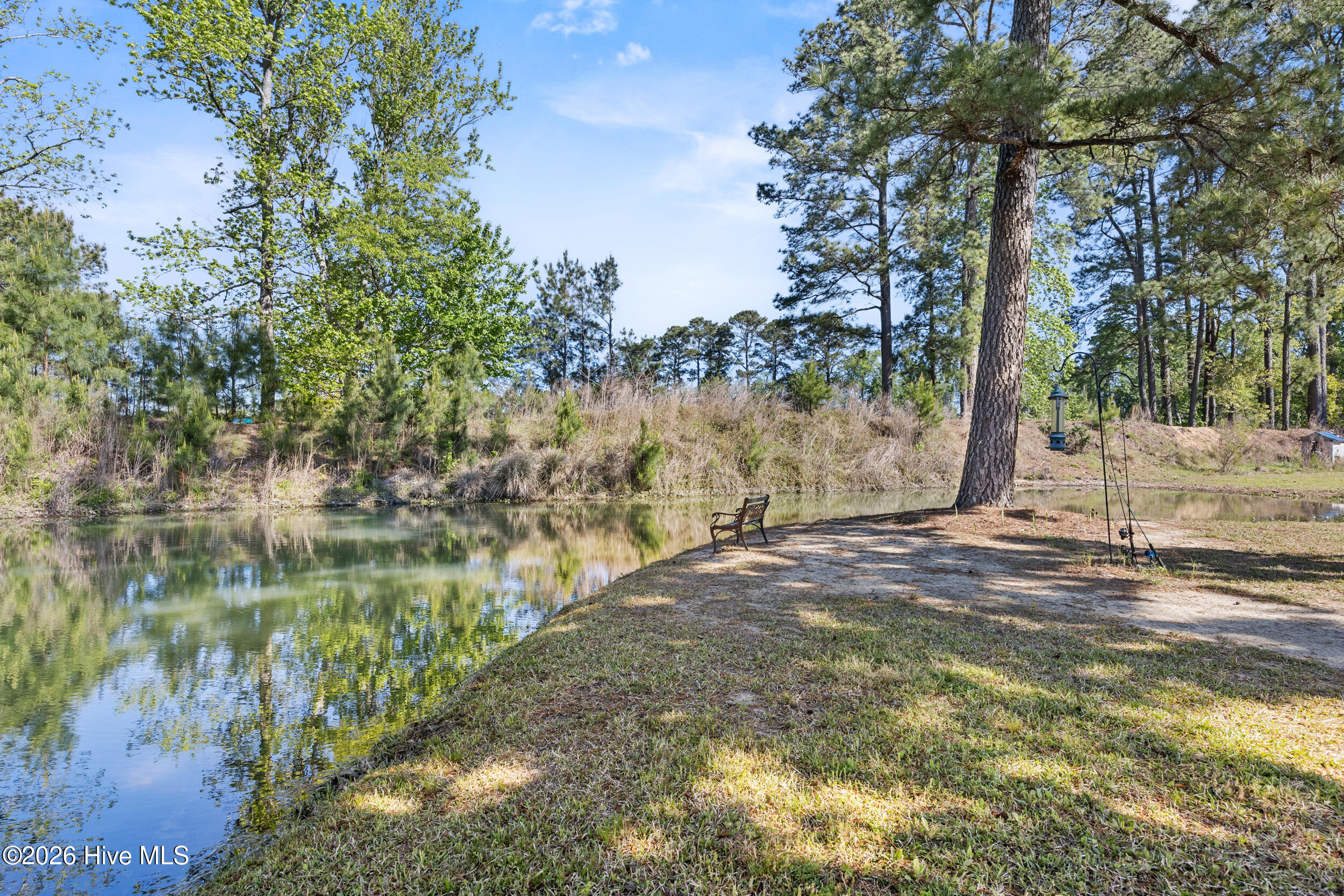 3740 Tuckahoe Road Ivanhoe, NC 28447 - Photo 46 of 62 43_backyard