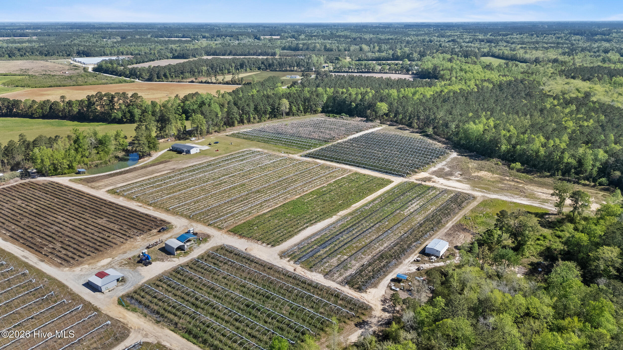 3740 Tuckahoe Road Ivanhoe, NC 28447 - Photo 4 of 62 52_drone