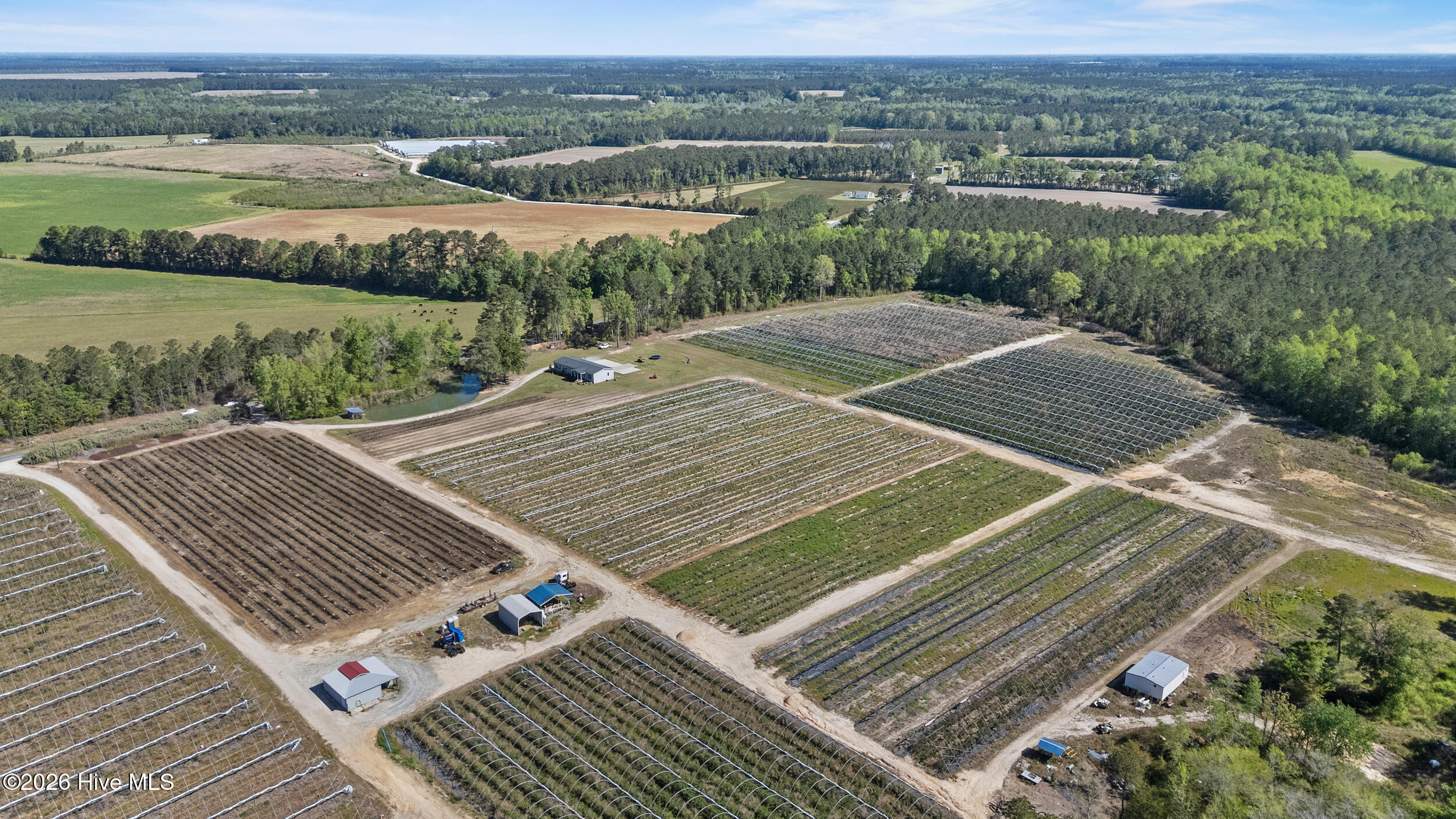 3740 Tuckahoe Road Ivanhoe, NC 28447 - Photo 53 of 62 53_drone