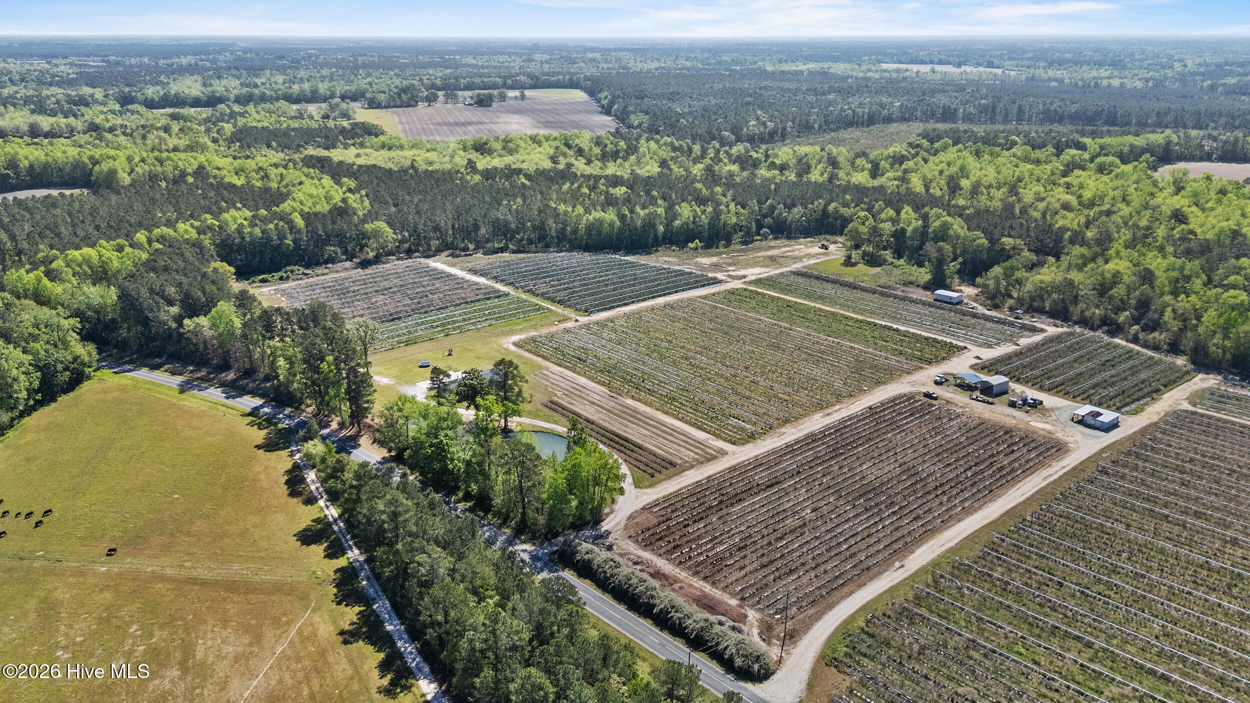 3740 Tuckahoe Road Ivanhoe, NC 28447 - Photo 54 of 62 54_drone