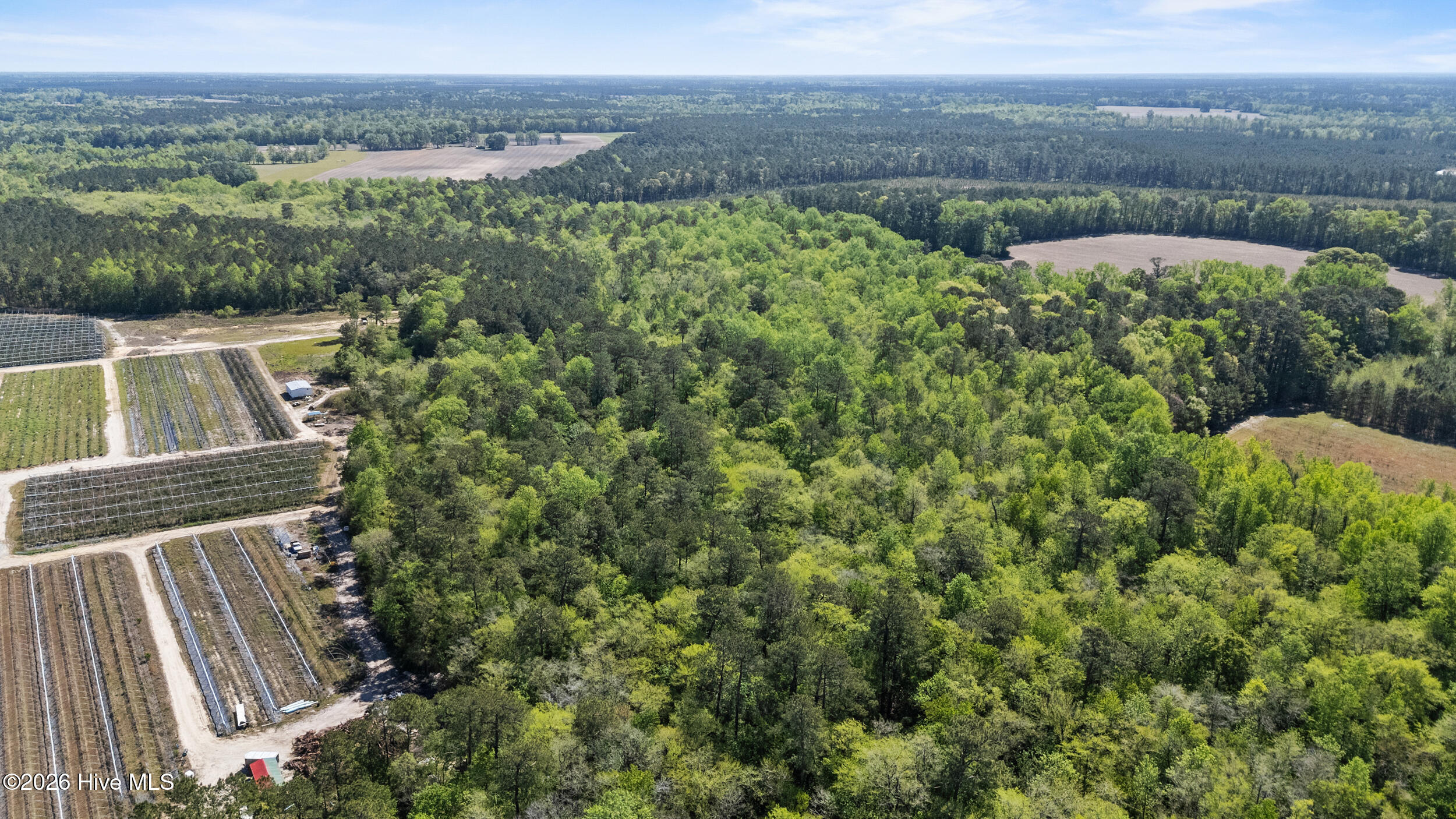 3740 Tuckahoe Road Ivanhoe, NC 28447 - Photo 56 of 62 56_drone
