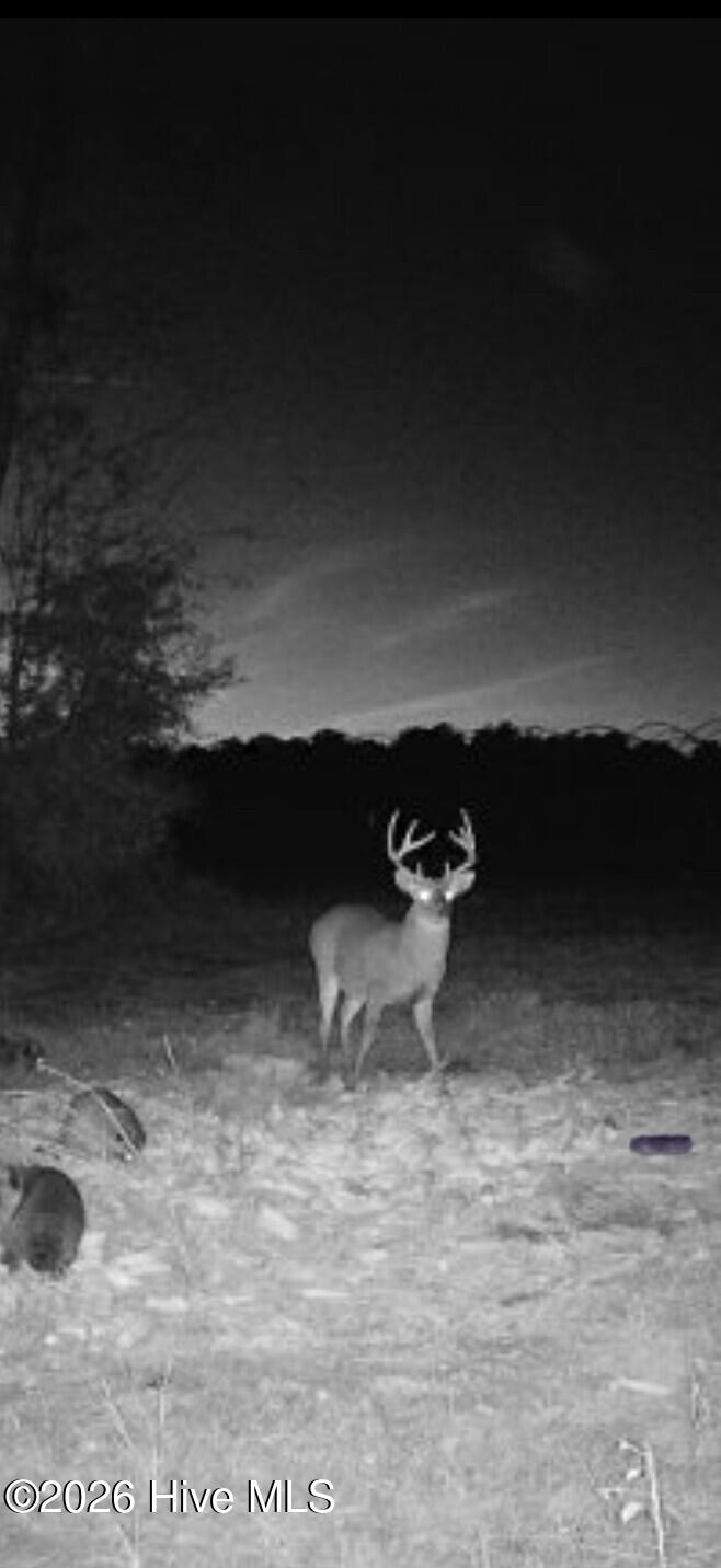 3740 Tuckahoe Road Ivanhoe, NC 28447 - Photo 58 of 62 4d5152d3-7ff4-46c8-97b4-a50ae58922dd