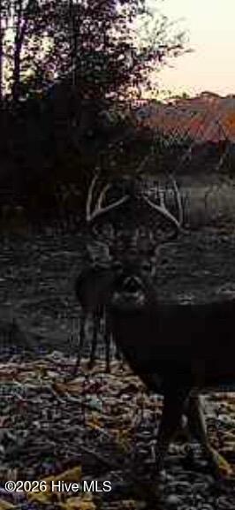 3740 Tuckahoe Road Ivanhoe, NC 28447 - Photo 59 of 62 39525190-491e-4ec9-b700-f0222f1bb9bf