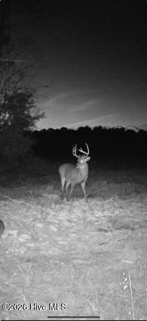 3740 Tuckahoe Road Ivanhoe, NC 28447 - Photo 60 of 62 e6765a2a-2b95-4030-bc66-2cce71dbf31a