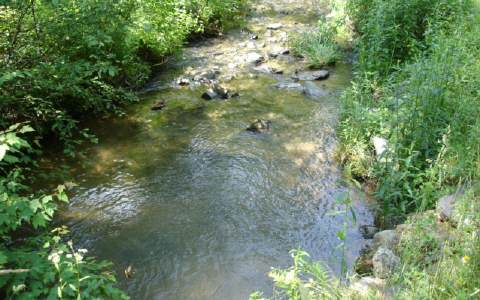 Lot1 Sweetwater Road Cherry Log, GA 30522 - Photo 1 of 1 Main View
