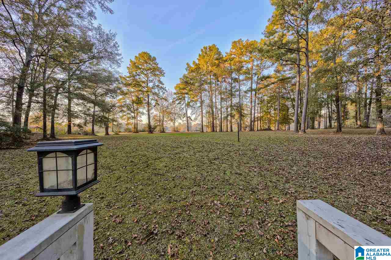 145 River Run Road Childersburg, AL 35044 - Photo 39 of 49