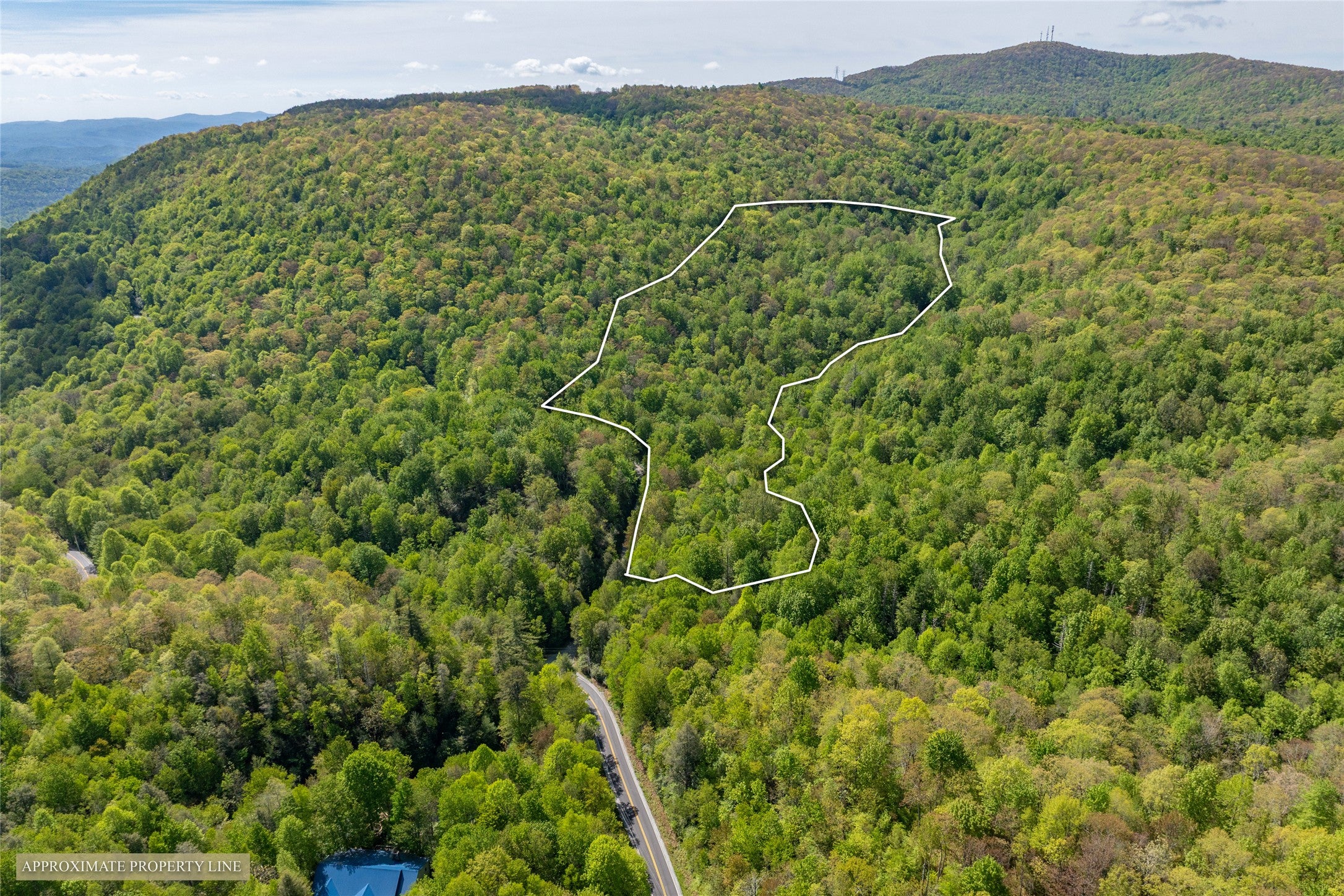 Tbd Tbd Long Ridge Road Lake Toxaway, NC 28747 - Photo 6 of 21 Gallery Image 6
