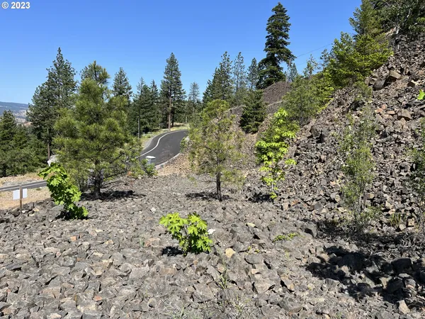 $349,000 | Asher Street, Unit 38, Mosier, OR 97040