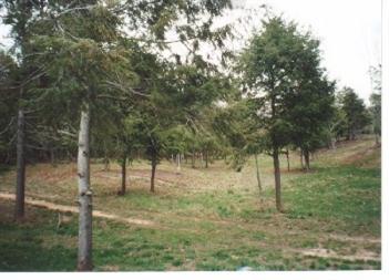 Valley View Onekama, MI 49675 - Photo 1 of 1 Primary Photo