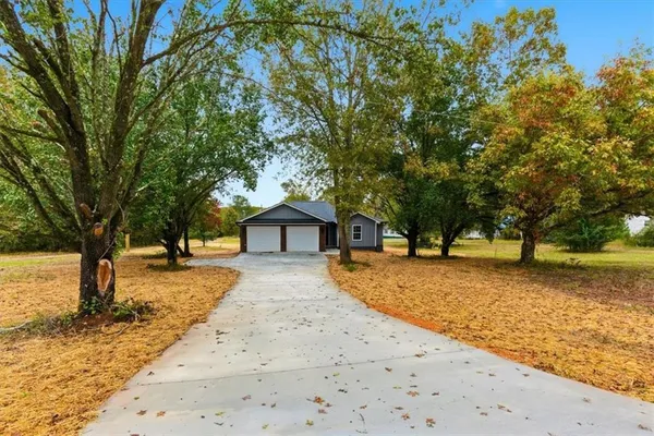 a view of a yard with a tree