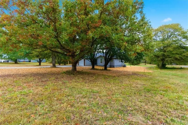 a view of a tree in the middle of a yard