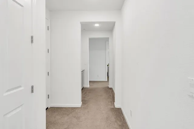 a view of a garden with plants and brick wall