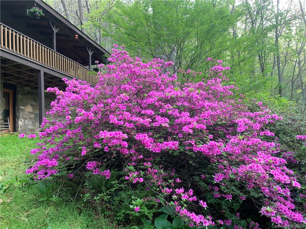 181 Joe Bailey Road Fletcher, NC 28732 - Photo 8 of 48 Gallery Image 8