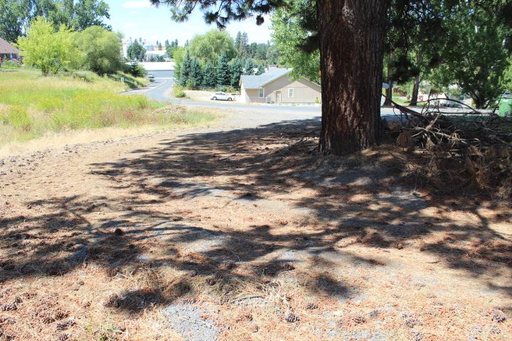 166 North E Stringham Road Rockford, WA 99030 - Photo 1 of 11