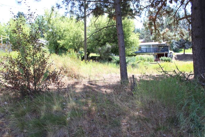166 North E Stringham Road Rockford, WA 99030 - Photo 4 of 11