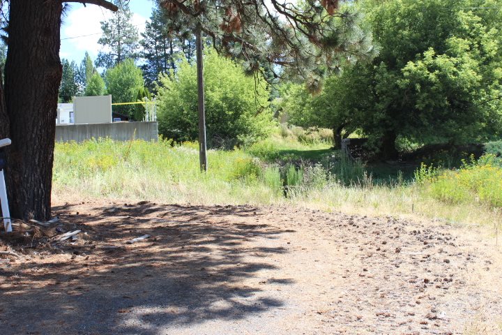 166 North E Stringham Road Rockford, WA 99030 - Photo 5 of 11
