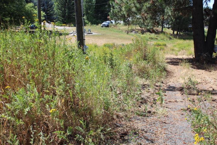 166 North E Stringham Road Rockford, WA 99030 - Photo 7 of 11