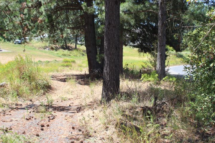 166 North E Stringham Road Rockford, WA 99030 - Photo 8 of 11