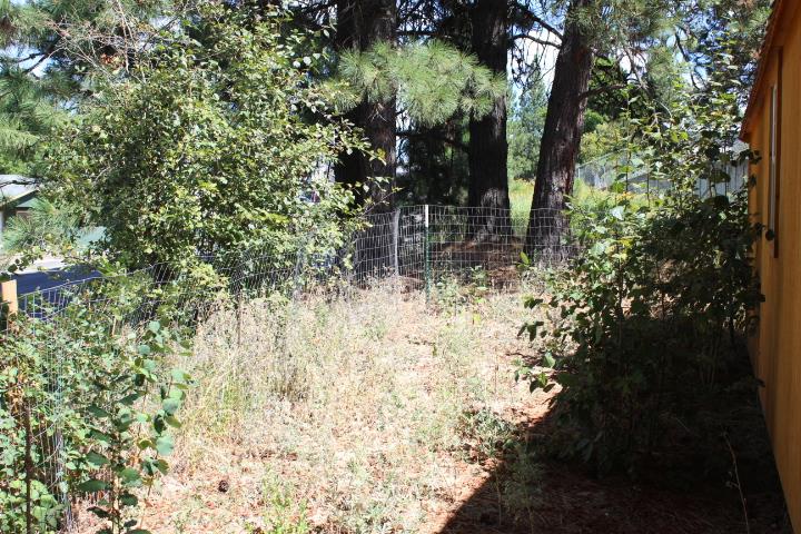 166 North E Stringham Road Rockford, WA 99030 - Photo 9 of 11