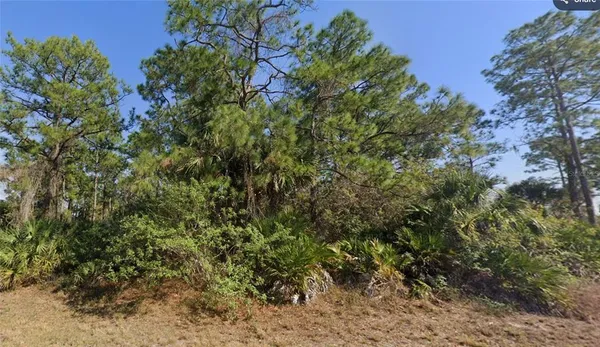 $22,000 | 1002 Silverfish Drive, LaBelle, FL 33935